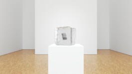 Internet Archaeology Institute