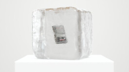 Internet Archaeology Institute