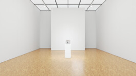 Internet Archaeology Institute