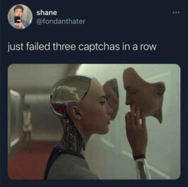 Internet Archaeology Institute