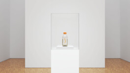 Internet Archaeology Institute