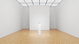 Internet Archaeology Institute