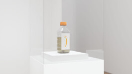 Internet Archaeology Institute