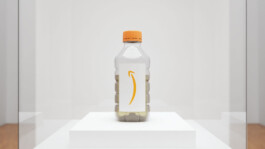 Internet Archaeology Institute