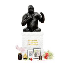  Internet Archaeology Institute