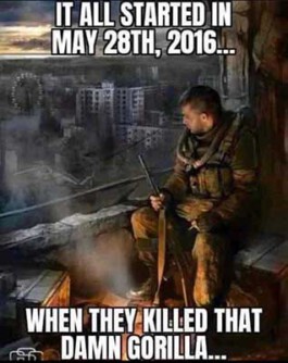 Internet Archaeology Institute