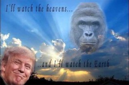 Internet Archaeology Institute