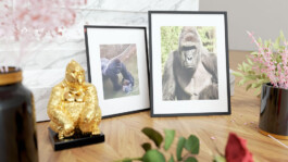 Internet Archaeology Institute