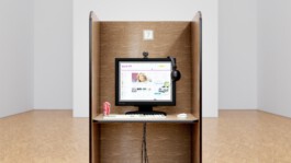 Internet Archaeology Institute