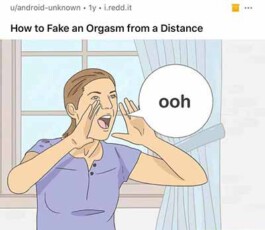 Internet Archaeology Institute