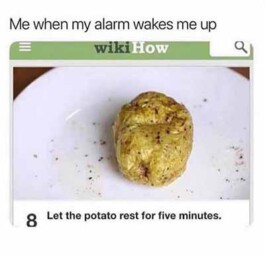 Internet Archaeology Institute