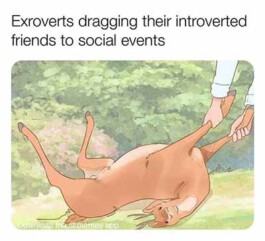 Internet Archaeology Institute