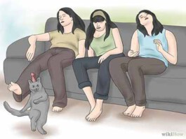 Internet Archaeology Institute