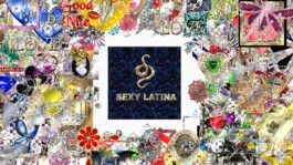 Internet Archaeology Institute