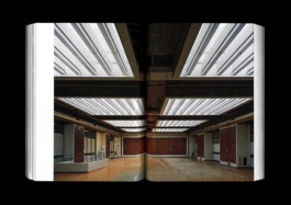 Internet Archaeology Institute