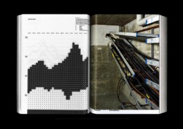 Internet Archaeology Institute