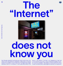 Internet Archaeology Institute