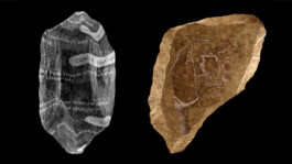 Internet Archaeology Institute