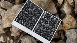 Internet Archaeology Institute