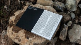 Internet Archaeology Institute