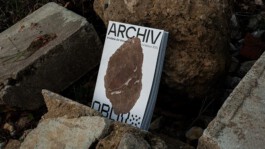 Internet Archaeology Institute