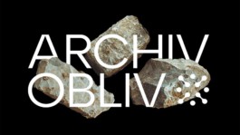 Internet Archaeology Institute