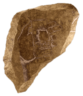  Internet Archaeology Institute