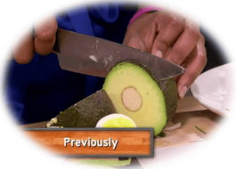  Internet Archaeology Institute