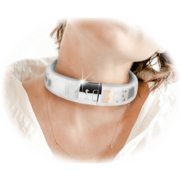  Internet Archaeology Institute